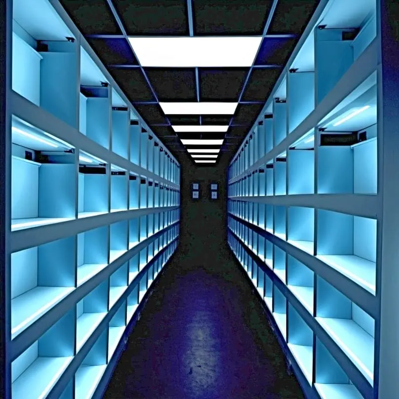 Optimal Environmental Conditions for Storing Sublimation Prints
